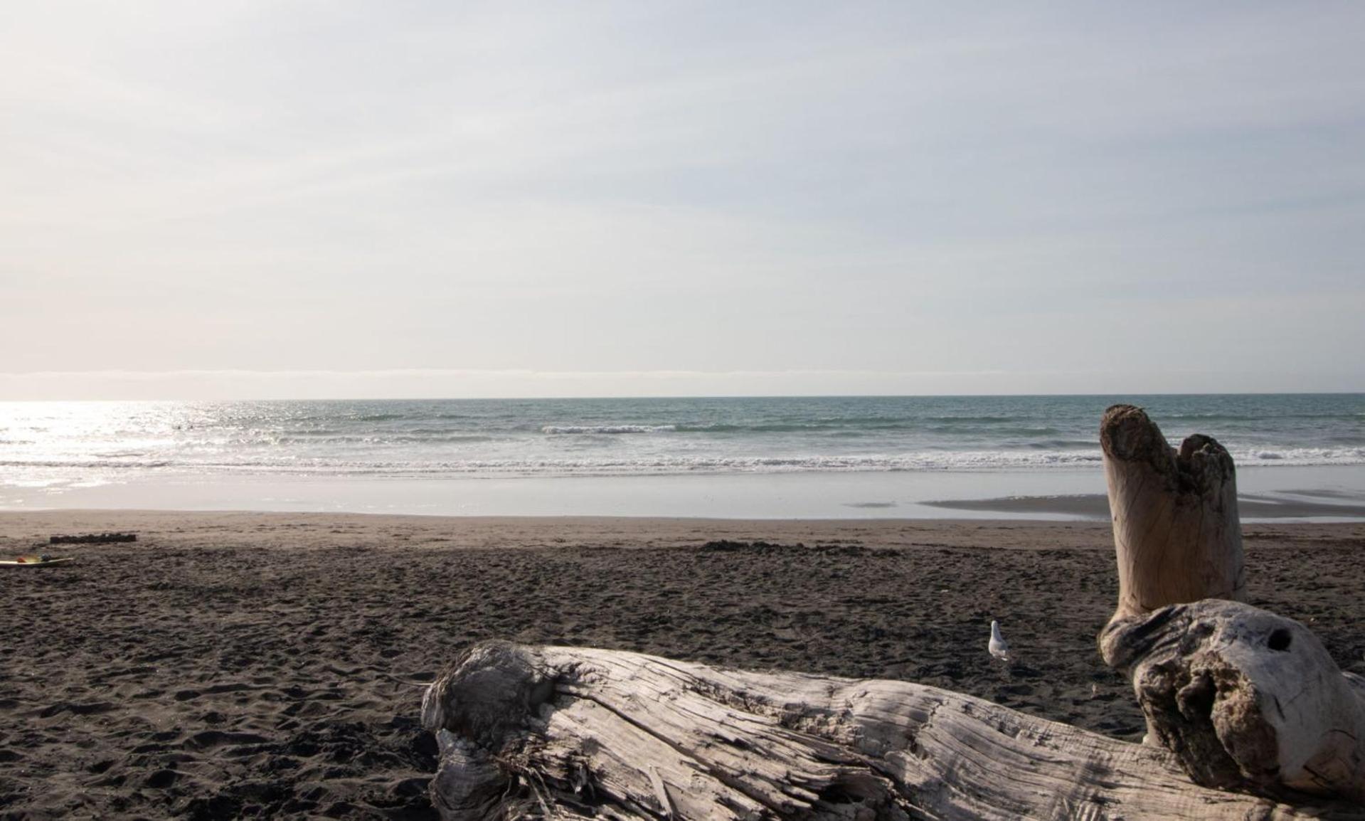 The Dunes At Fitzroy Beach - Unit 4 New Plymouth Eksteriør billede